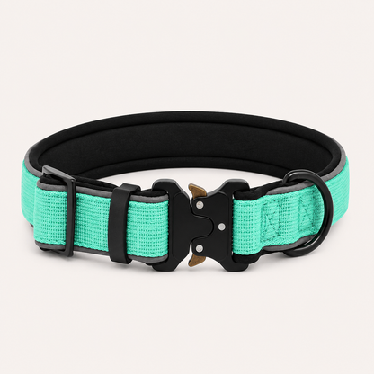Turquoise Heavy-Duty Collar