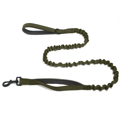 🎁 FREE ParoPet Bungee Lead